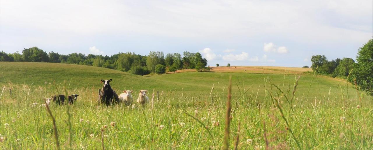 Sandfallet Glamping Laholm Kültér fotó