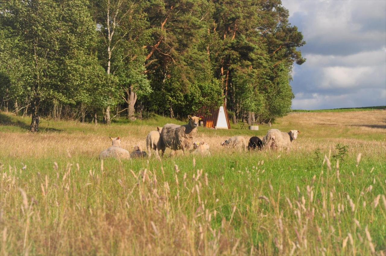 Sandfallet Glamping Laholm Kültér fotó